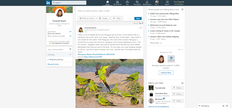 Amanda Paraguay 4.png